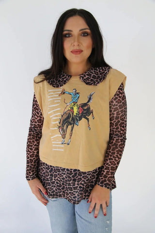 Cheetah Print Collared Mesh Long Sleeve Top