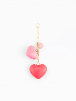 Various Colorful Bag Charms