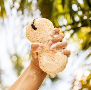 Bridgewater Sweet Grace Body Wash Sponge