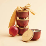 Thymes Simmered Cider Candle Tin with Gold Lid