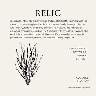 Relic Powder Laundry Detergent BAG