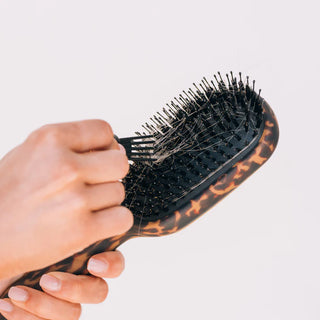 Teleties Boar Bristle Hairbrushes