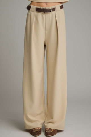 Wide Leg Pants w/ Pleat Detail - 2 Colors!