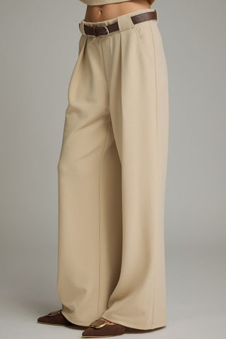 Wide Leg Pants w/ Pleat Detail - 2 Colors!