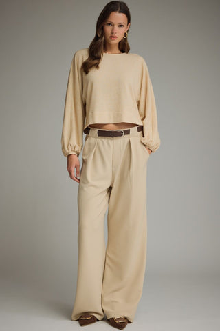 Wide Leg Pants w/ Pleat Detail - 2 Colors!