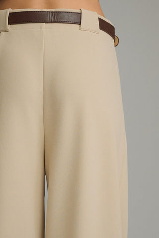 Wide Leg Pants w/ Pleat Detail - 2 Colors!