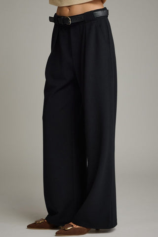 Wide Leg Pants w/ Pleat Detail - 2 Colors!