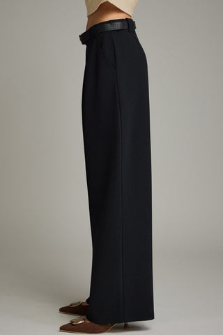 Wide Leg Pants w/ Pleat Detail - 2 Colors!