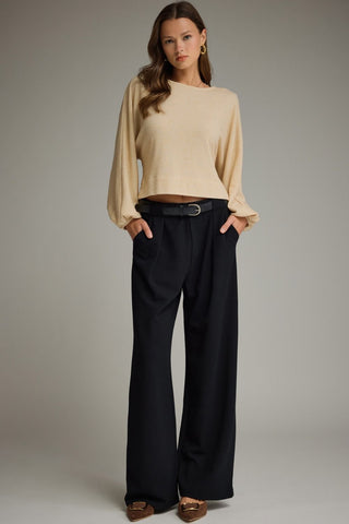 Wide Leg Pants w/ Pleat Detail - 2 Colors!