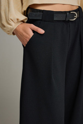 Wide Leg Pants w/ Pleat Detail - 2 Colors!