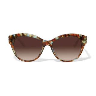 Brighton Interlok Braid Sunglasses