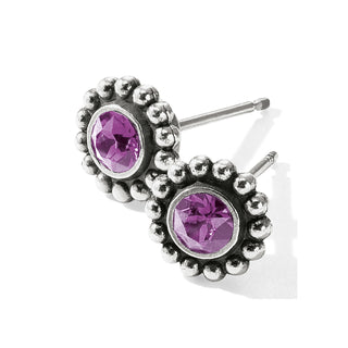 Brighton Twinkle Mini Post Earrings - Amethyst