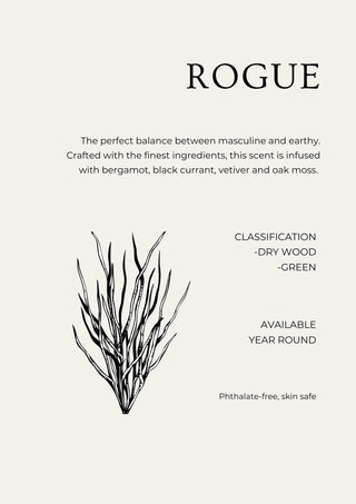 Rogue Powder Laundry Detergent BAG